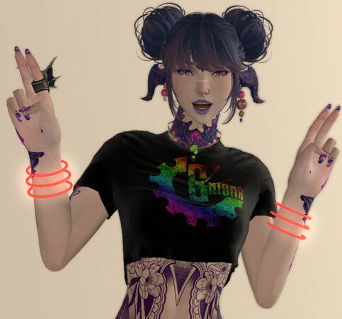 Enigma Rainbow Croptop