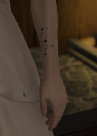 ArmConstelation